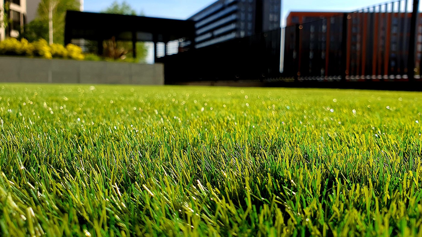 Close-up image of grass