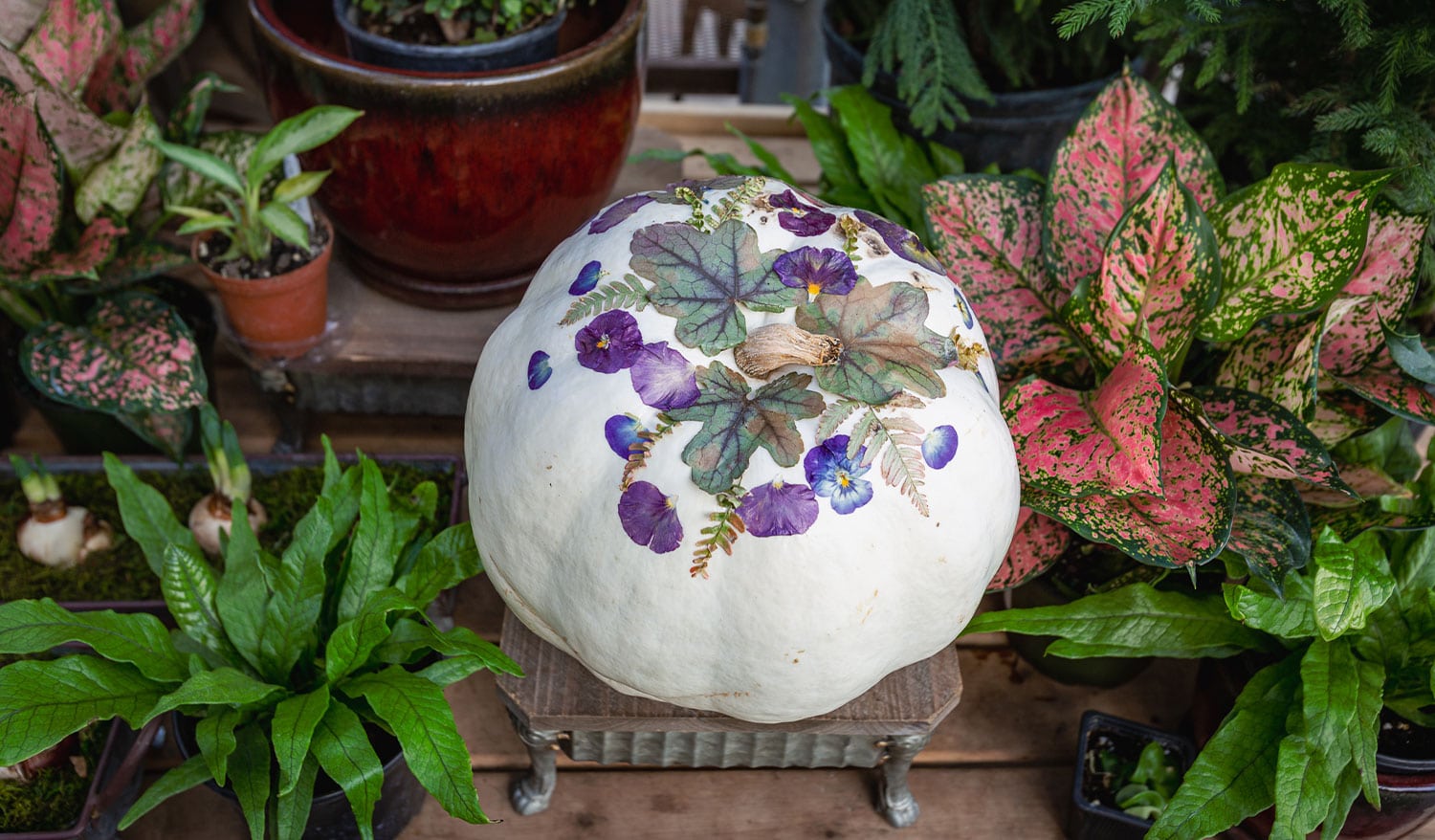 Pressed flower pumpkin