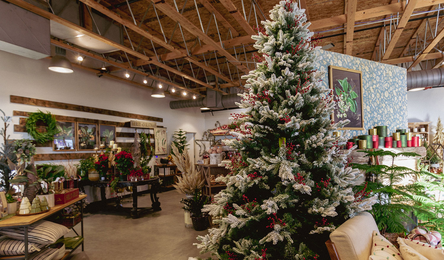 Home decor higlight banner. Image of Franz Witte garden center during the holidays.