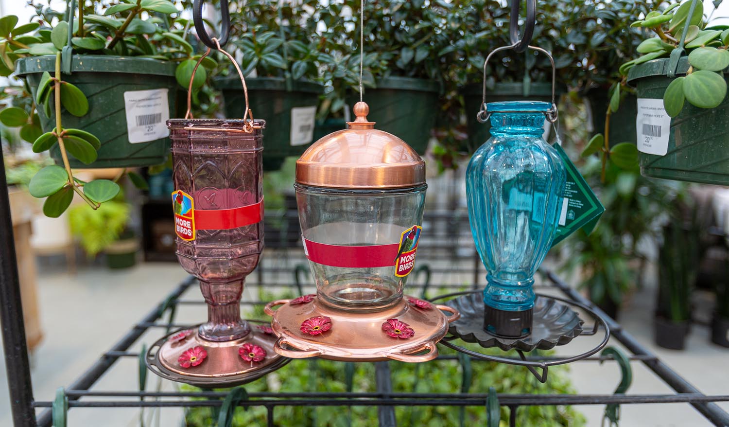 Three colorful bird feeders hanging from a bar