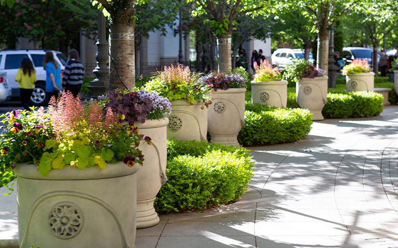 The Village at Meridian. Color pots by Franz Witte