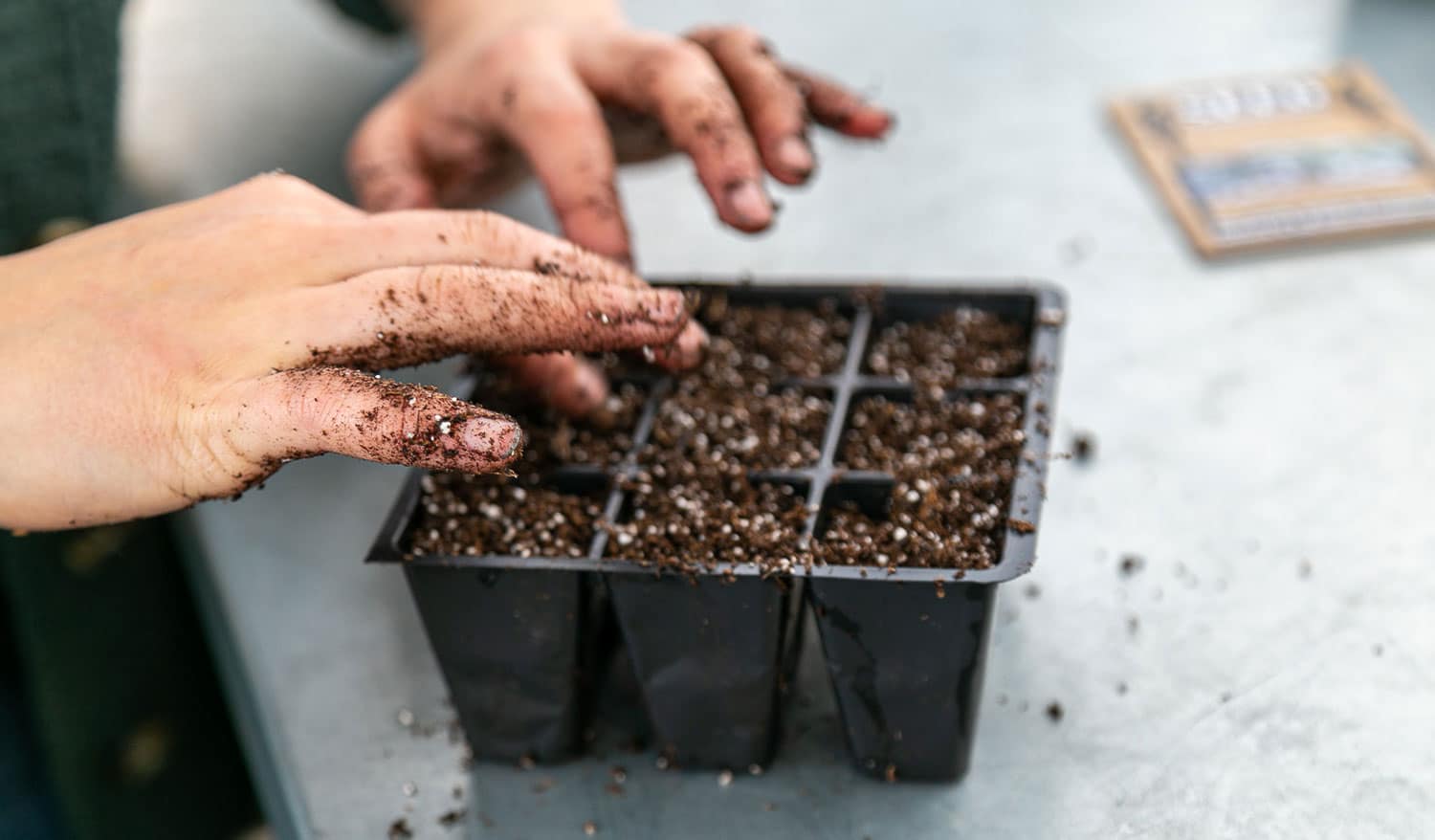 Hands planting seeds in seed tray