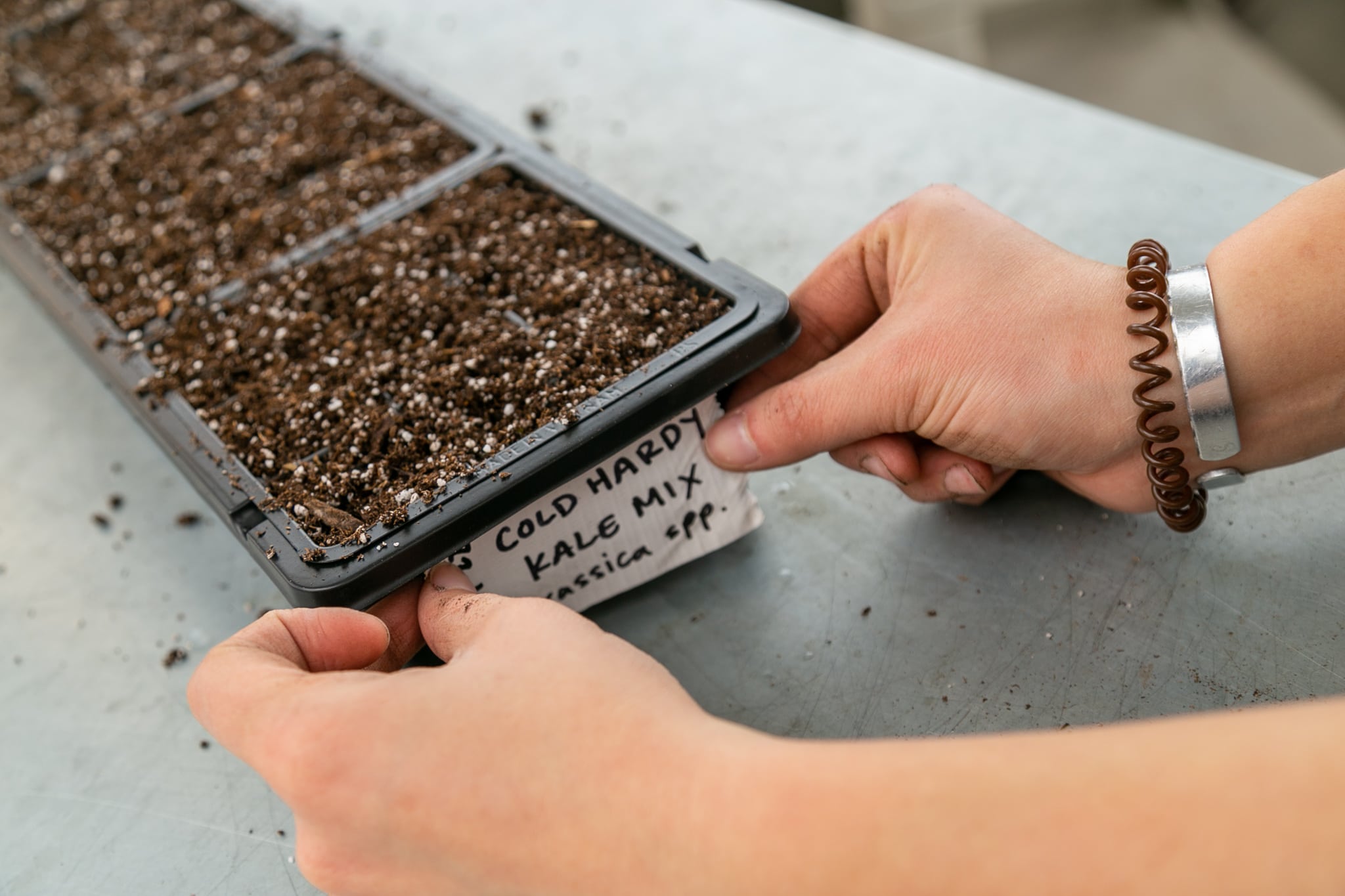Hands placing label on seed tray