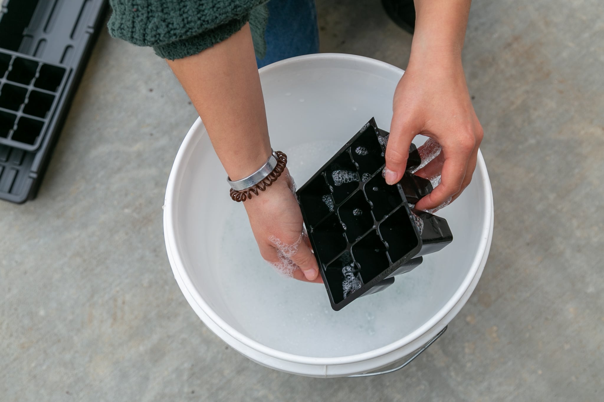 Hands rinsing seed cell trays in warm soapy water