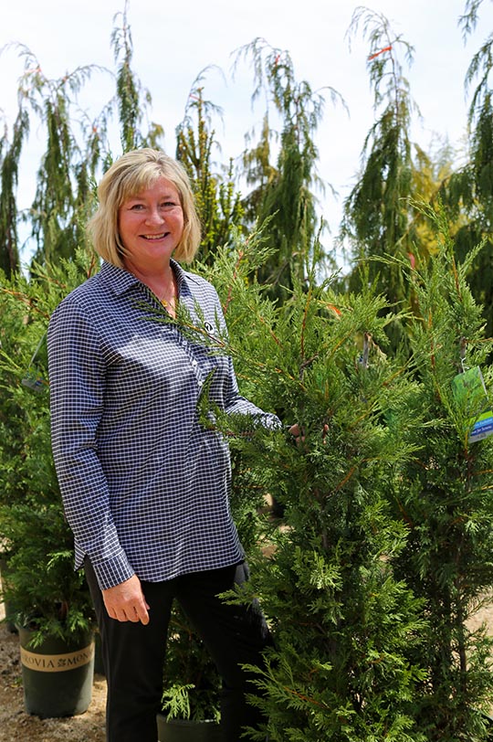 Seneca standing next to her favorite screening tree, Leland Cypress