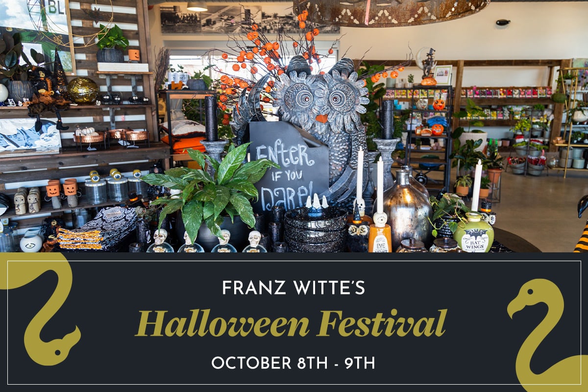 Graphic of Franz Witte gift shop with Halloween theme for October Halloween Festival