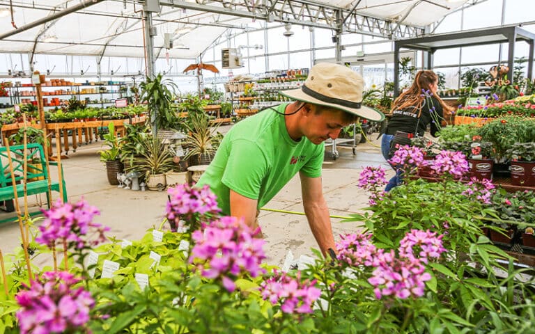 Photo of Garden Center employee working in greenhouse with spring plants