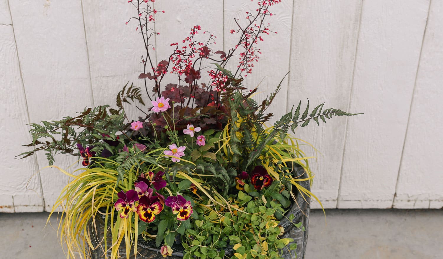 Photo of a gray planter in front of a white barn filled green, yellow, and red sun annuals and perennials