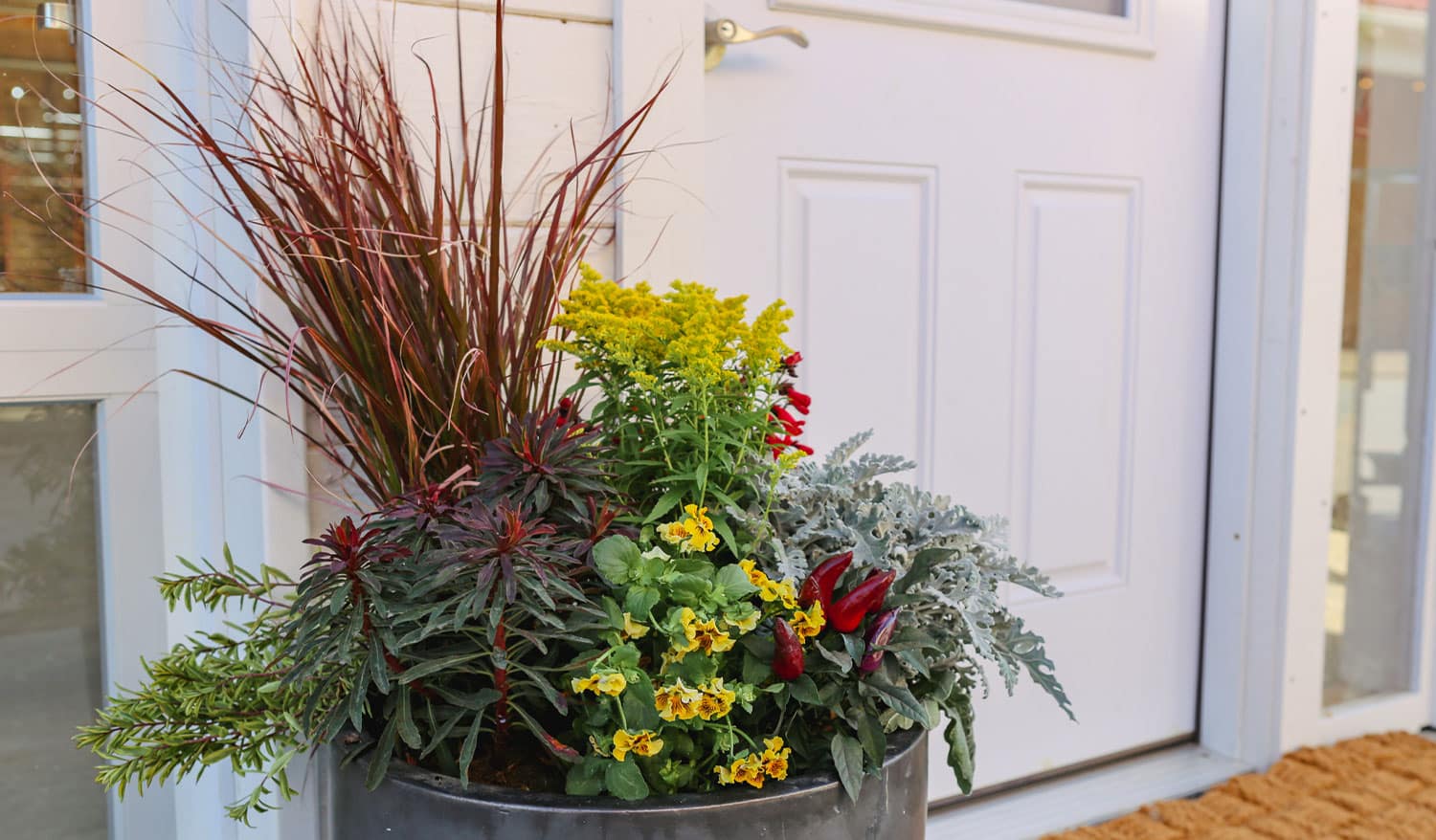 Photo of a black planter in front of a door filled green, yellow, and red sun annuals and perennials