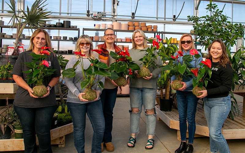 Photo of six women holding Anthurium Kokedama at a Franz Witte workshop