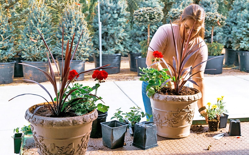 Franz Witte employee creating a custom annual pot