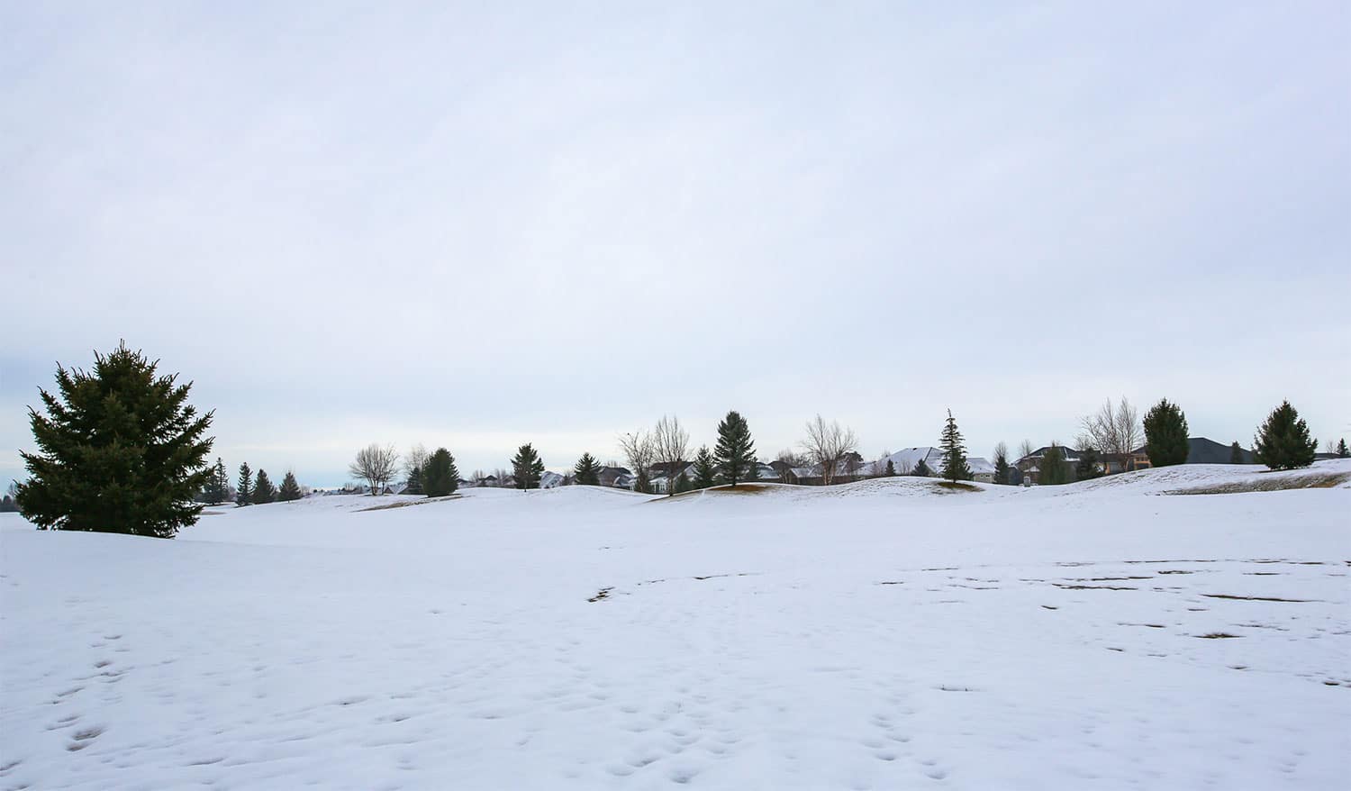 Photo of an open field covered in snow with trees on the horizon